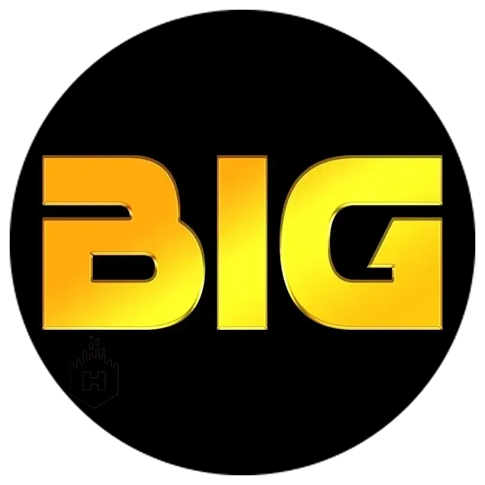 bighoki - Action APK